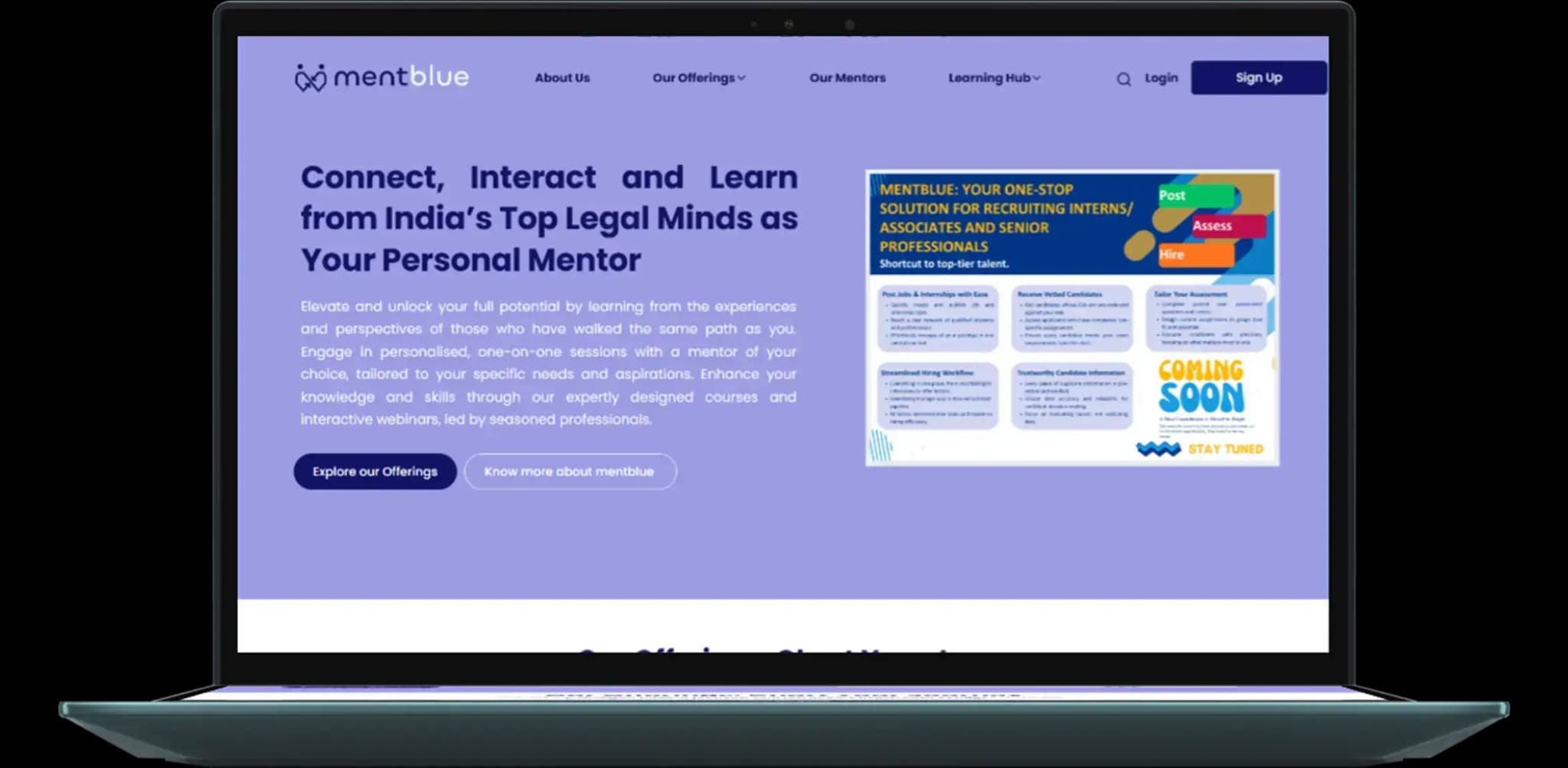 Portfolio
